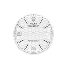 Land-Dweller 40 mm  Oystersteel White Gold M127334-0001
